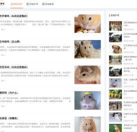 宠问问