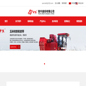 锐牛股份有限公司