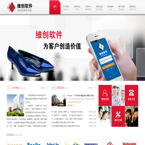 维创软件