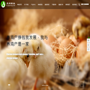 海城市正羽禽业有限公司