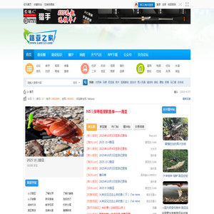 路亚之家论坛