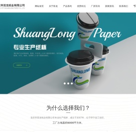 安庆市双龙纸业有限公司