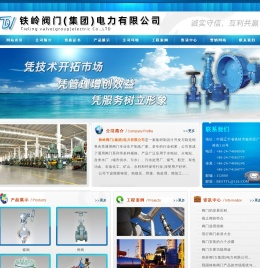铁岭阀门集团电力有限公司
