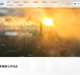 深圳市西湖股份有限公司
