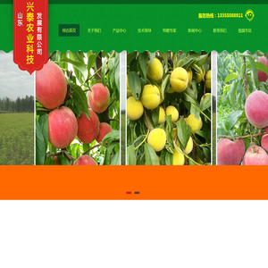 -山东兴泰农业科技发展有限公司