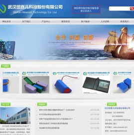 武汉纽赛儿科技股份有限公司