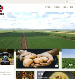 土豆博士食品有限公司