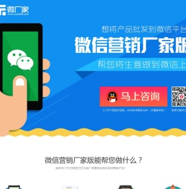 微厂家