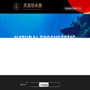 天龙坊