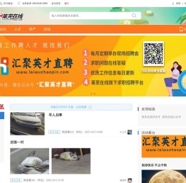 济南在线