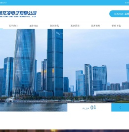 潍坊龙凌电子有限公司