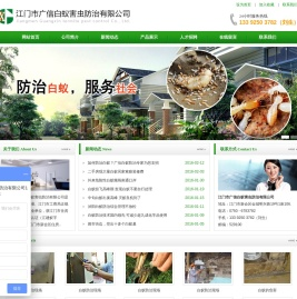 江门白蚁防治