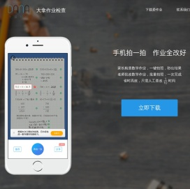 大拿作业检查