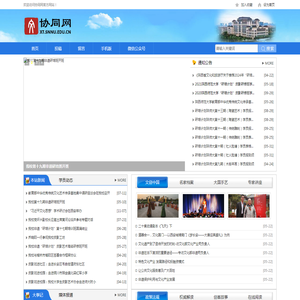 协同网
