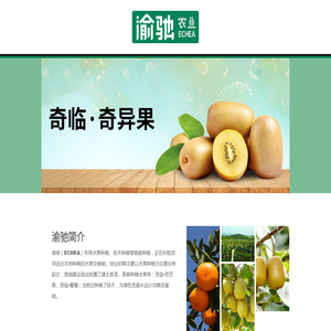 渝驰·ECHEA