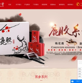 黑参茶