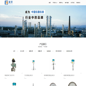 流量计,压力变送器
