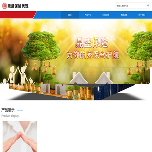 鼎盛保险代理有限公司