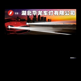 湖北华龙车灯有限公司