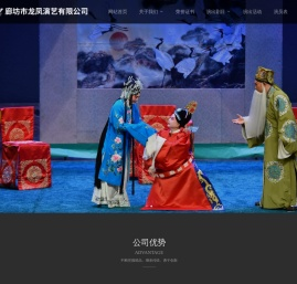 廊坊市龙凤演艺有限公司