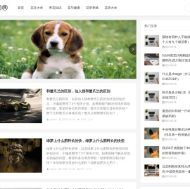 花艺时尚网