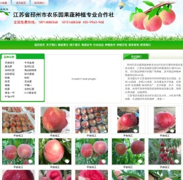 桃苗
