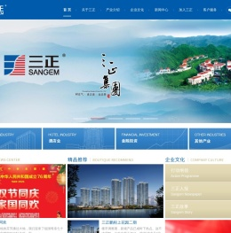 广东三正集团有限公司网站
