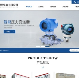 上海莱时特仪表有限公司