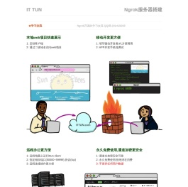 ngrok国内服务器
