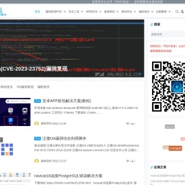 漏洞扫描
