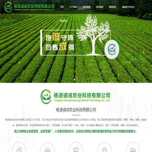 陕西苗木种植