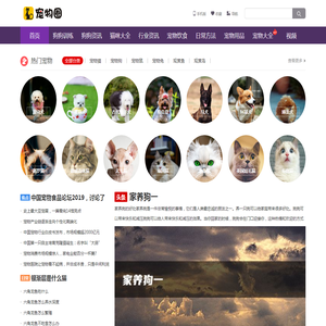 宠物吧
