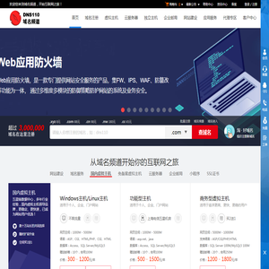 DNS110域名频道