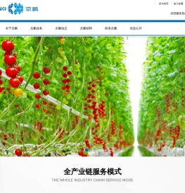 北京京鹏环球科技股份有限公司