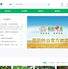 种子网