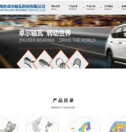 湖南省卓尔轴瓦科技公司简介