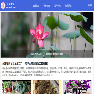 花韵之窗