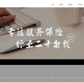 振利软件科技(上海)有限公司(N22)官网