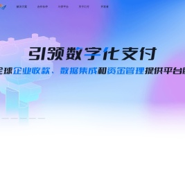 引领数字化支付
