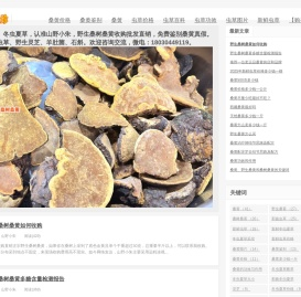 桑黄价格多少钱一斤