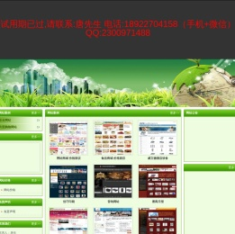 番禺网站建设800