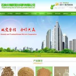 动物蛋白