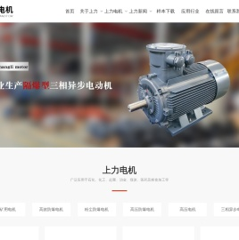 上海上力防爆电机