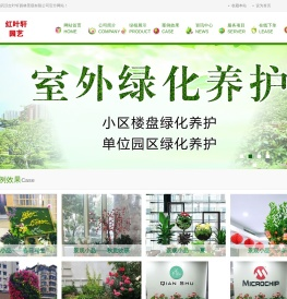 武汉植物租赁