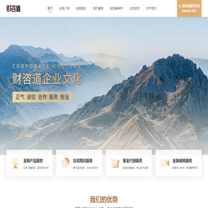 财咨道信息技术有限公司