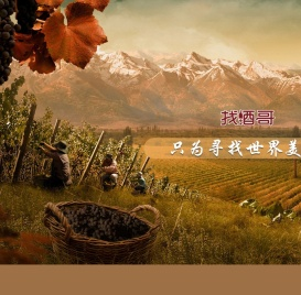 找酒哥