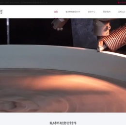 广东航空密封件PTFE密封环