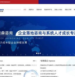 慧森咨询