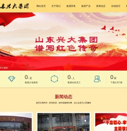 山东兴大集团