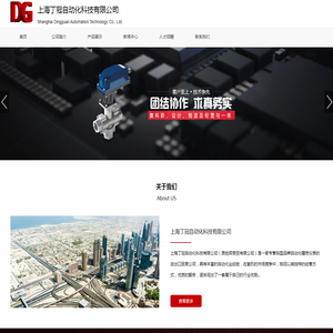 上海丁冠自动化科技有限公司